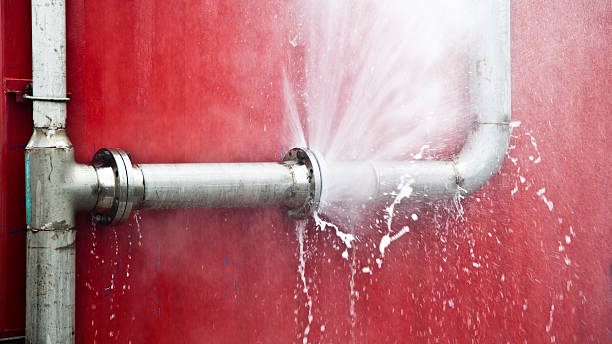 Carpet water damage restoration in Bean Station, TN